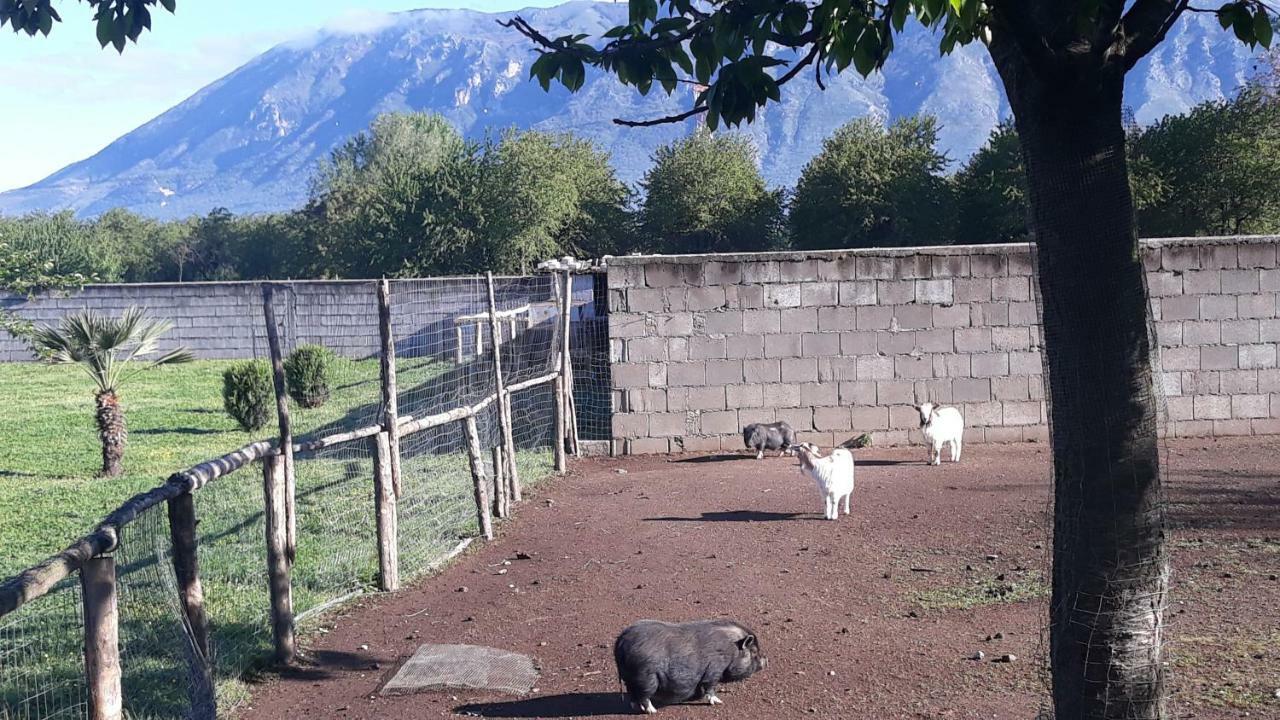 מלון Rotondi Agriturismo Carlo Cioffi מראה חיצוני תמונה